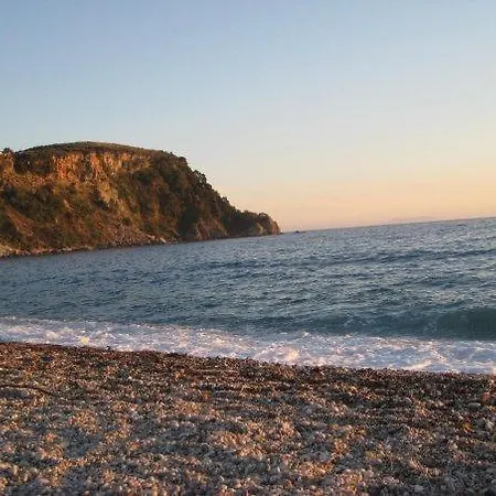 Mare