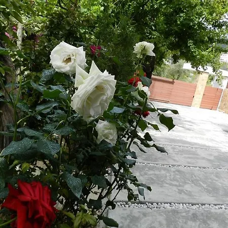 Mare Gæstehus Himarë